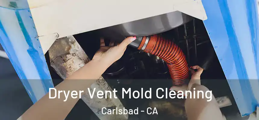  Dryer Vent Mold Cleaning Carlsbad - CA