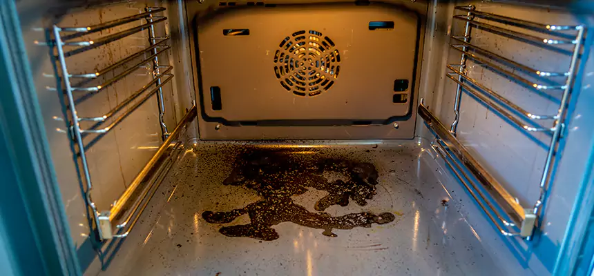 Our Dryer Vent Mold Cleaning Services in Carlsbad, CA