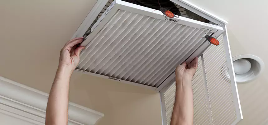 Our Insect Removal from Air Ducts Services in Carlsbad, CA
