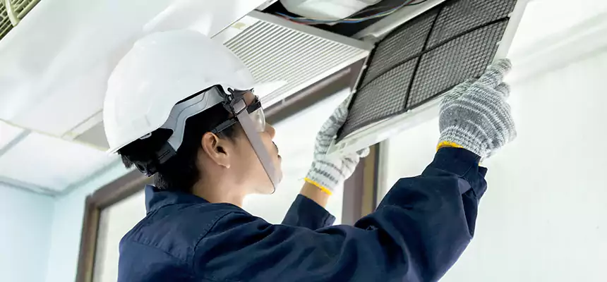 Our Mold & Mildew Removal from Air Ducts Services in Carlsbad, CA