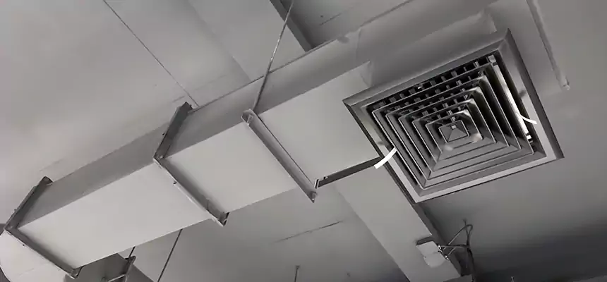 Our Pest Removal From Ducts Services in Carlsbad, CA