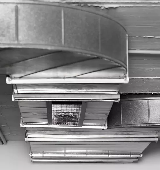 Professional Air Duct Pest Removal in Carlsbad, CA