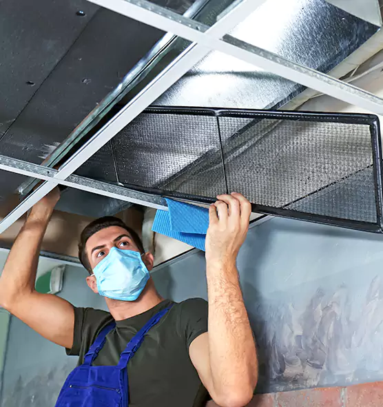 Professional Air Duct Pollen Cleaning in Carlsbad, CA