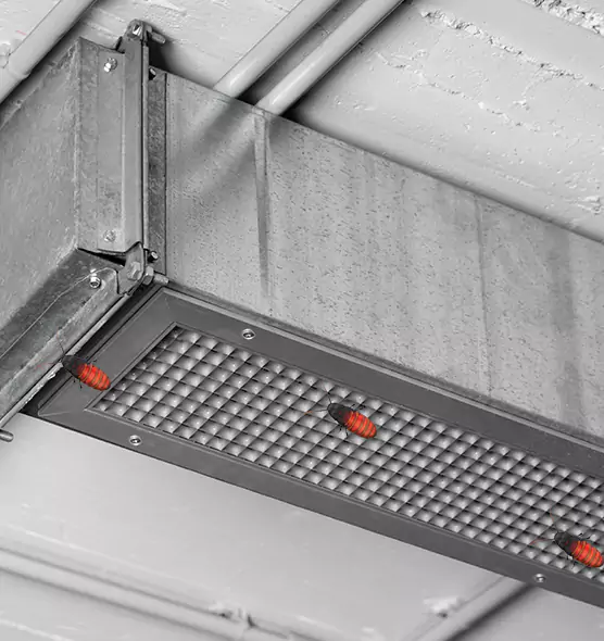 Affordable Insect Removal from Air Ducts in Carlsbad, CA