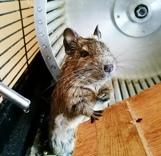 Why Homeowners & Businesses Trust Us Carlsbad, CA