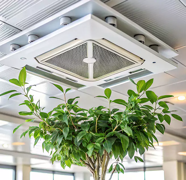 Why Homeowners & Businesses Trust Us in Carlsbad, CA?