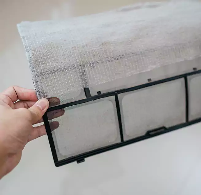 Why Homeowners & Businesses Trust Us in Carlsbad, CA?