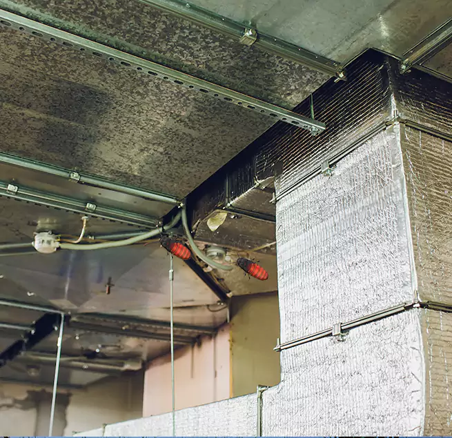 Why Homeowners & Businesses Trust Us Carlsbad, CA?