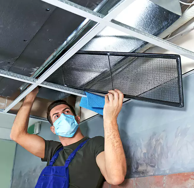 Why Homeowners Businesses Trust Us in Carlsbad, CA