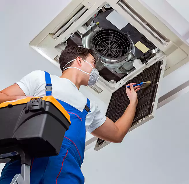 Why Homeowners & Businesses Trust Us in Carlsbad, CA?